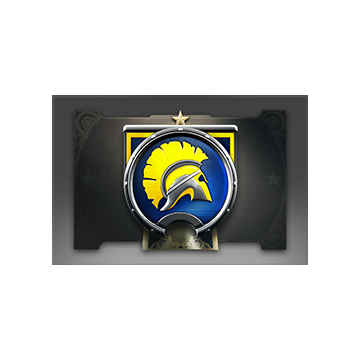 Autographed Team Pennant: NaVi