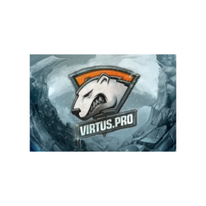 Autographed Virtus.Pro HUD Skin