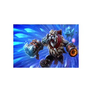 Barrier Rogue